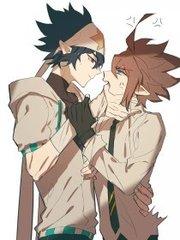 猫咪视频永久在线观看