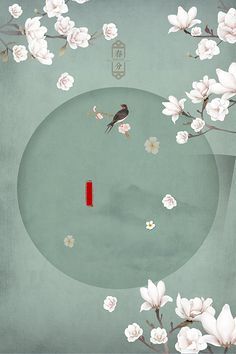 水宜方spa养生馆直播